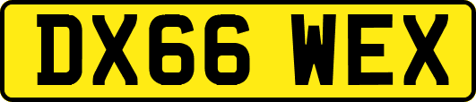DX66WEX
