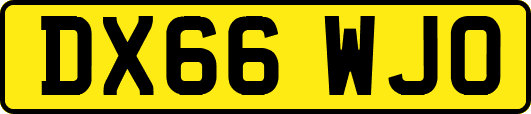 DX66WJO