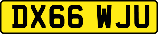 DX66WJU