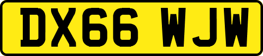 DX66WJW