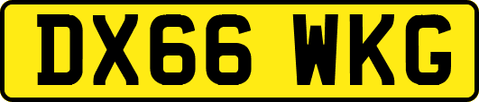 DX66WKG