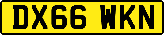DX66WKN