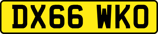 DX66WKO