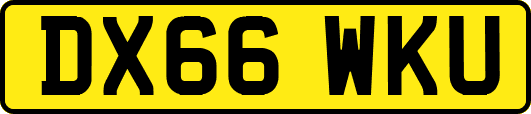 DX66WKU
