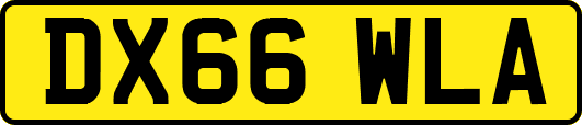 DX66WLA