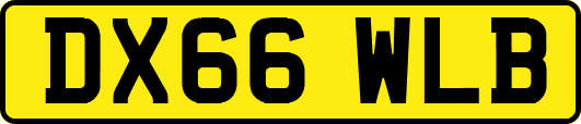 DX66WLB