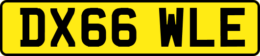 DX66WLE