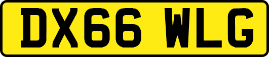 DX66WLG