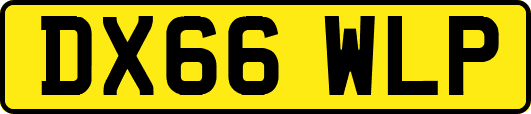 DX66WLP
