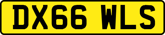 DX66WLS