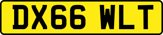 DX66WLT