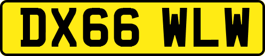 DX66WLW