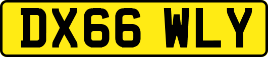 DX66WLY