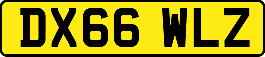 DX66WLZ
