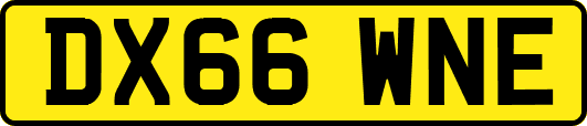 DX66WNE