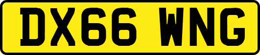 DX66WNG