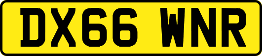 DX66WNR