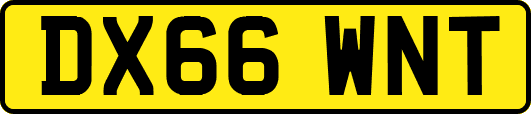 DX66WNT