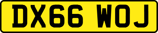 DX66WOJ