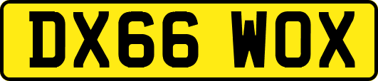 DX66WOX