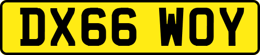 DX66WOY