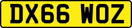 DX66WOZ