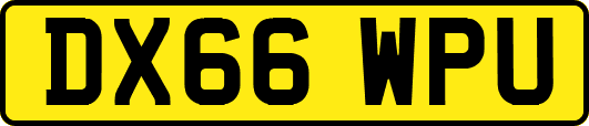 DX66WPU