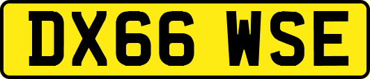 DX66WSE