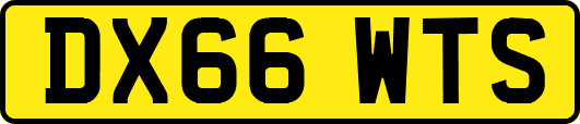 DX66WTS