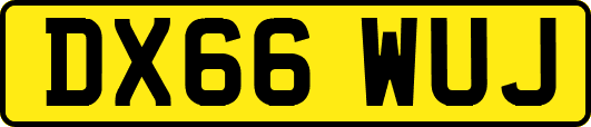 DX66WUJ