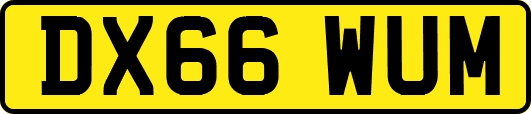 DX66WUM