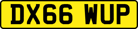 DX66WUP