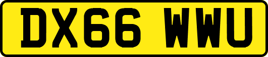 DX66WWU