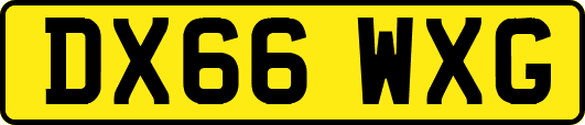 DX66WXG
