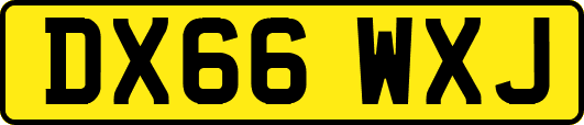 DX66WXJ