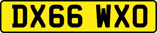 DX66WXO