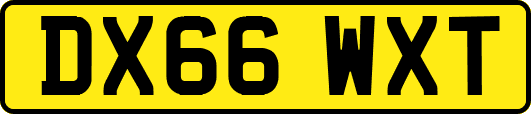DX66WXT