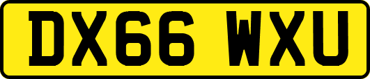 DX66WXU