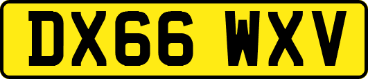 DX66WXV