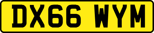 DX66WYM