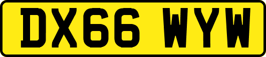 DX66WYW