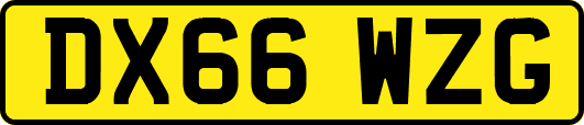DX66WZG