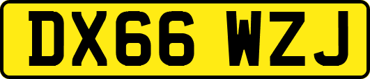 DX66WZJ