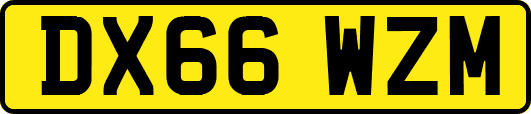 DX66WZM