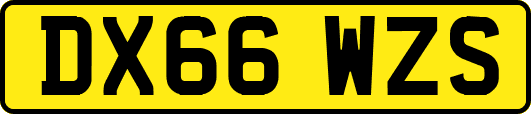 DX66WZS