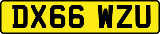 DX66WZU