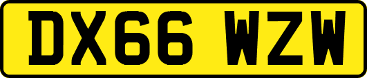 DX66WZW