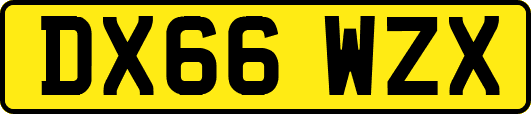 DX66WZX