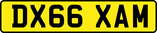 DX66XAM