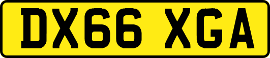 DX66XGA